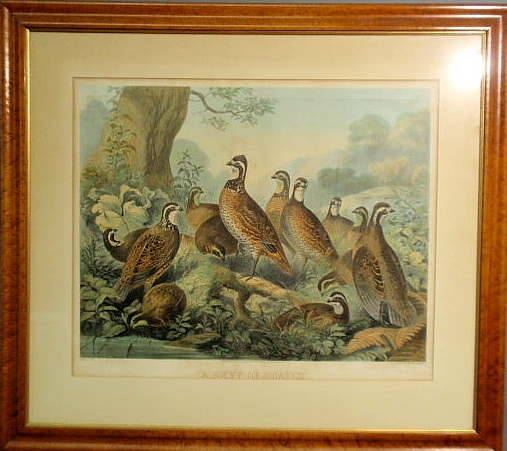 Maple framed lithograph "A Bevy