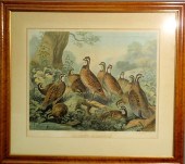 Maple framed lithograph "A Bev