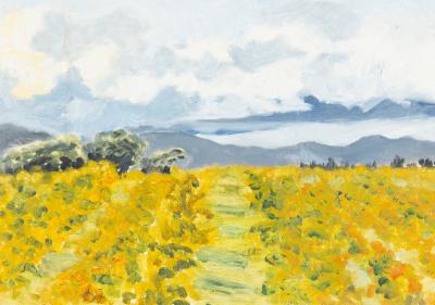 Margaret Harmsworth/Golden Field
