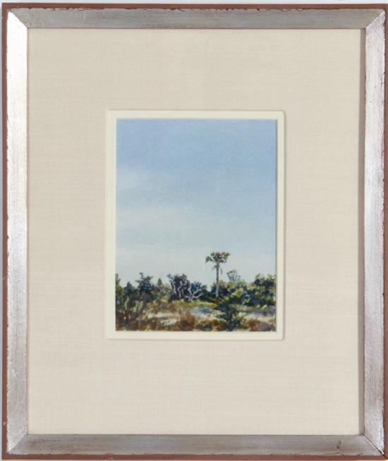 Margaret Peery (South Carolina 20th