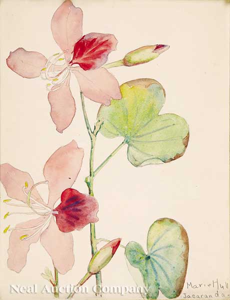 Marie Atkinson Hull