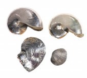 Mario Buccellati sterling cove