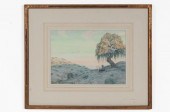 MARION KAVANAUGH WACHTEL: "ELM