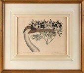 MARK CATESBY (ENGLAND/SOUTH CA