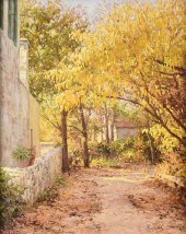 MARK HAWORTH (AMERICAN/TEXAS B