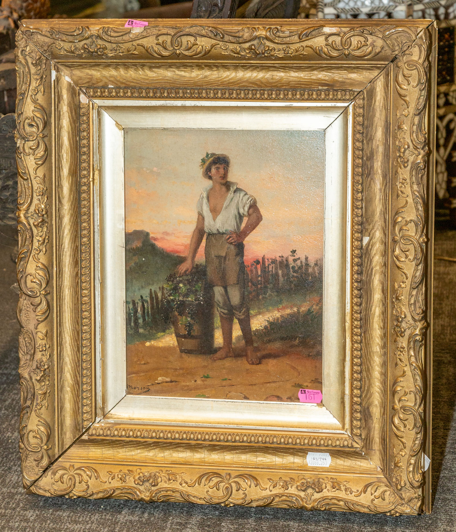 MARSON. GRAPE HARVESTER, OIL