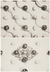 MARTHA MAYER ERLEBACHER (1937-