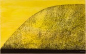MARTHA VISSER'T HOOFT (AMERICA