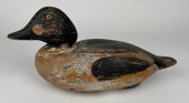 MARTHA'S VINEYARD GOLDENEYE DR