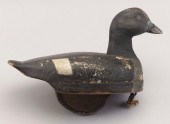 MARTHA'S VINEYARD GOLDENEYE HE