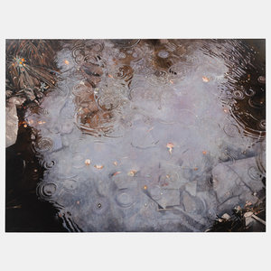 Martin Hoffman  (American,