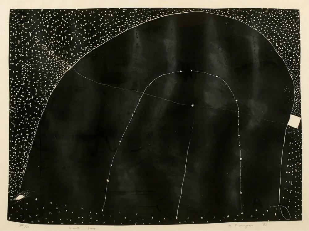 MARTIN PURYEAR (B. 1941): DARK