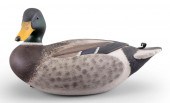 MARTY COLLINS MALLARD DRAKE DE