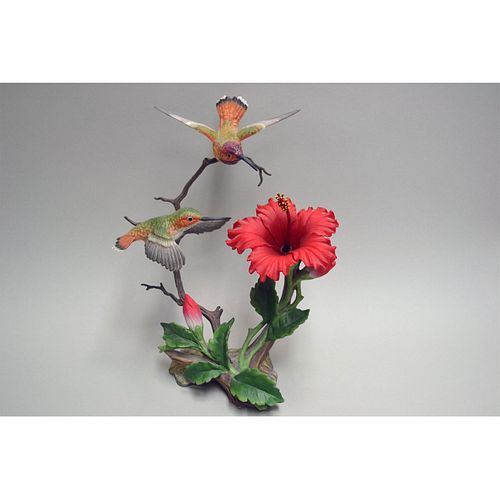 MARURI USA ALLEN'S HUMMINGBIRD WITH