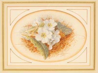 Mary Elizabeth Duffield