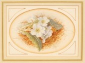 Mary Elizabeth Duffield (1819-