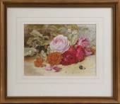Mary Elizabeth Duffield (Briti