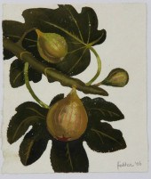 Mary Fedden ARR Study of Figs