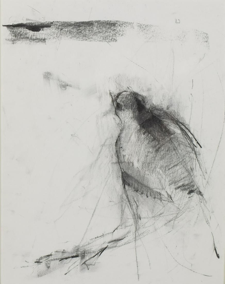 MARY HARTMAN, BIRDSEYE, CHARCOAL ON