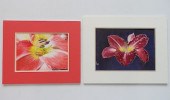 MARY HOBBS 2 DRAWINGSMary Hobb