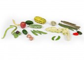 MARY KIRK KELLY CERAMIC FRUITS