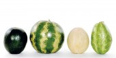 Mary Kirk Kelly ceramic melons