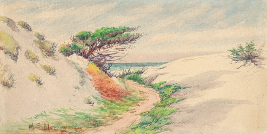 MARY S. MORROW (1854-1918)