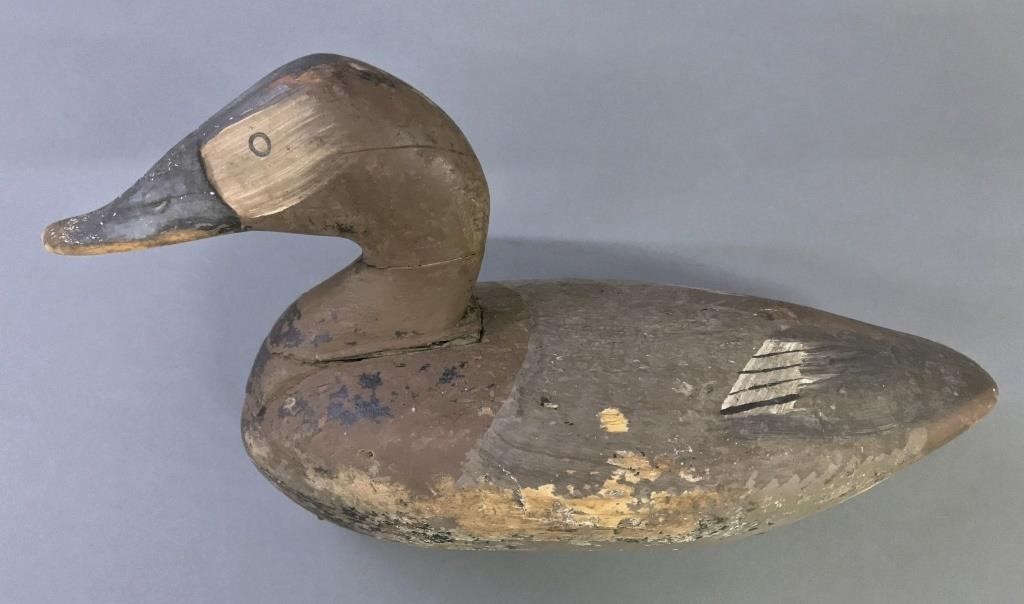 Maryland canvasback hen decoy,