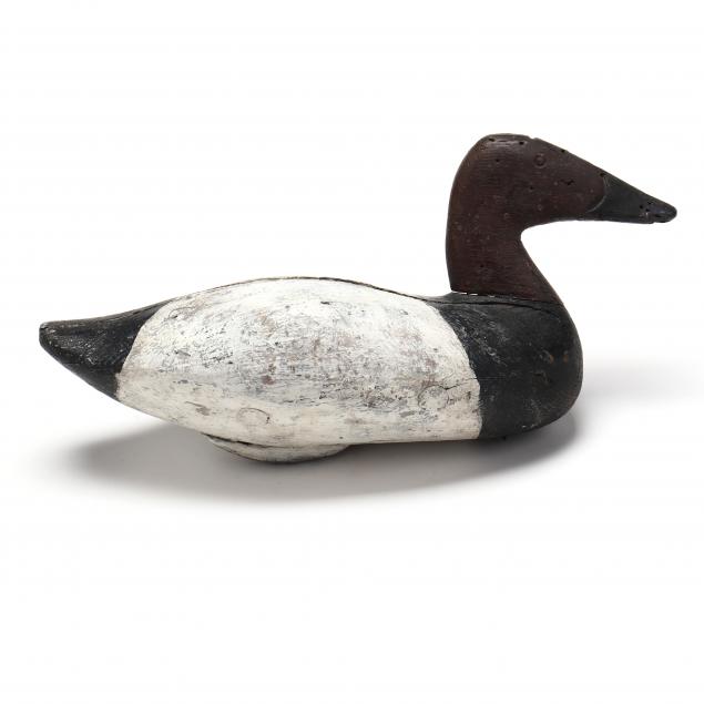 MARYLAND CANVASBACK Upper Bay,