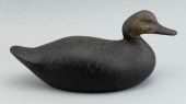 MASON PREMIER GRADE BLACK DUCK