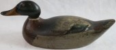 MASON PREMIER GRADE MALLARD DR