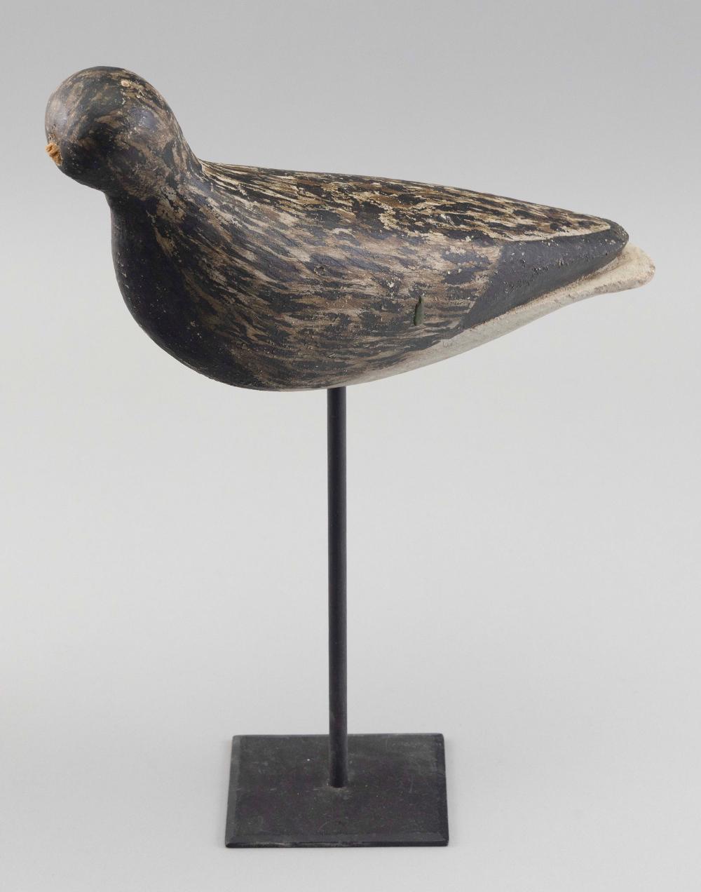 MASSACHUSETTS BLACK-BELLIED