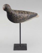 MASSACHUSETTS BLACK-BELLIED PL