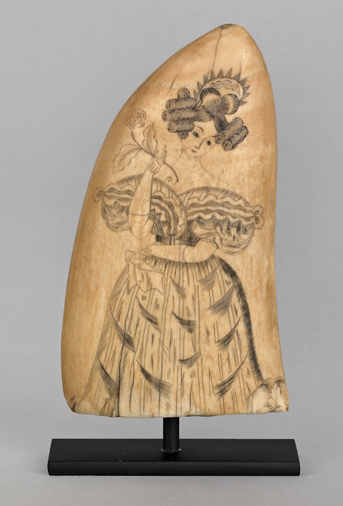 Massachusetts scrimshaw whale's