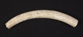 MASTODON IVORY TUSK: A partial