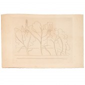 MATISSE, RARE VARIANT ETCHING