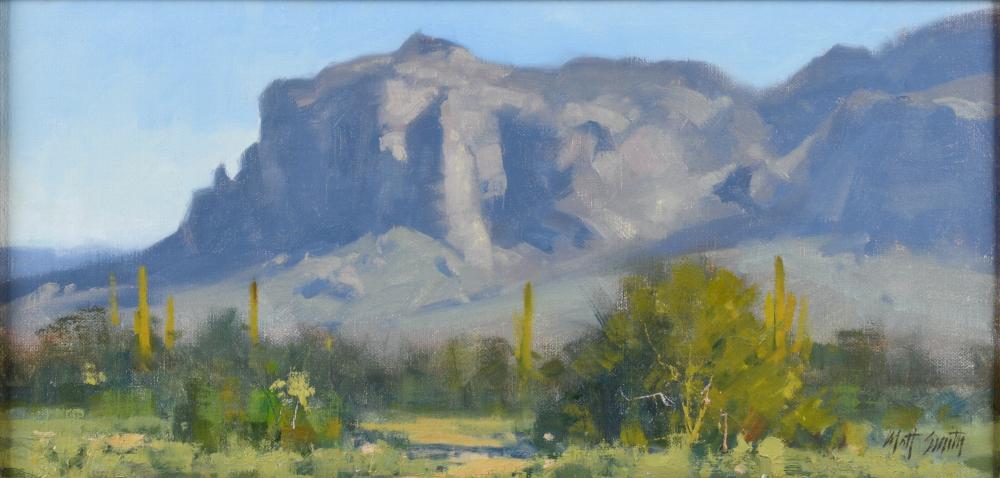 MATT SMITH, AMERICAN, ARIZONA