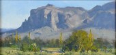 MATT SMITH, AMERICAN, ARIZONA