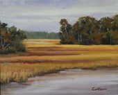 MATTHEW CUTTER, FLORIDA WETLAN