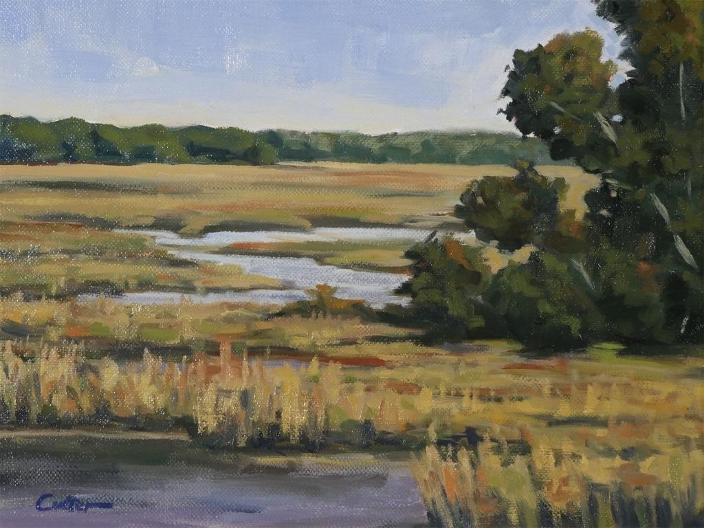 MATTHEW CUTTER, FLORIDA WETLAND