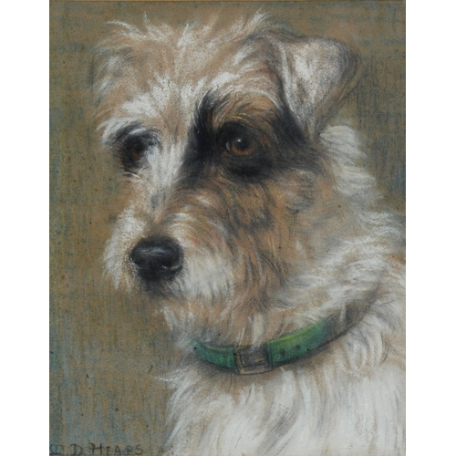 Maud D Heaps (1877-1964) - Head