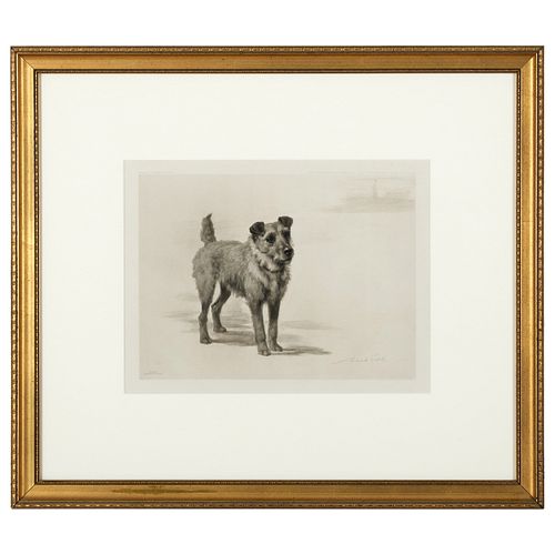 MAUD EARL (1864-1943): TERRIERS