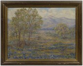 Maude Spiller Holt bluebonnet