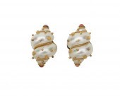 MAZ 18K GOLD, TURBO SHELL, AND