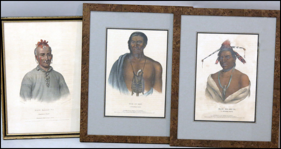 MCKENNY & HALL AMERICAN INDIAN