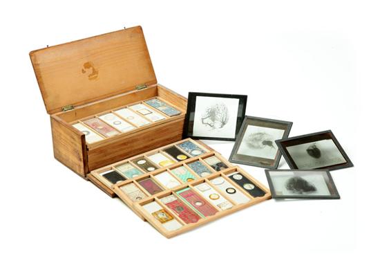 MEDICAL SLIDES.  American or