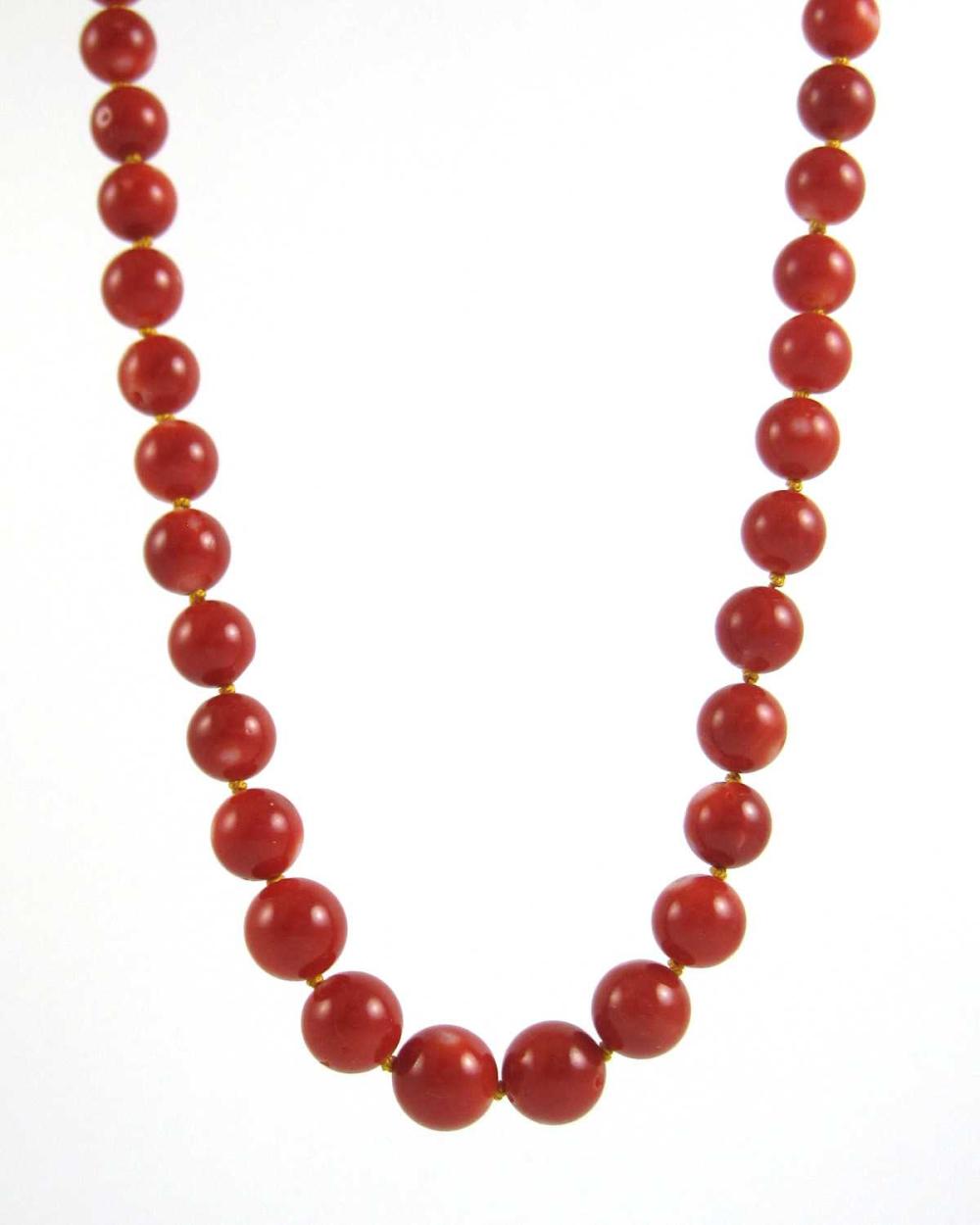 MEDITERRANEAN CORAL AND FOURTEEN