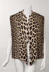 Melegari e Costa exotic cat fu