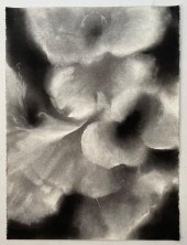 MELISSA REISCHMAN , "GHOST BLO