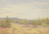 MELVILLE WIRE OIL ON CANVAS (O